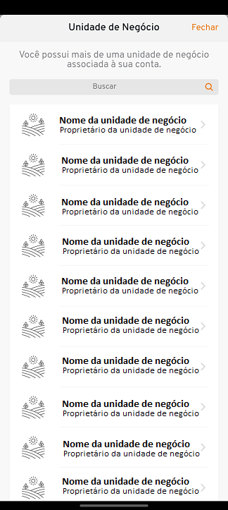 unidade_negocio_certo.png